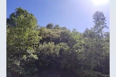 00987 Elder Drive, Cedar Glen, CA 92321 - Photo 4