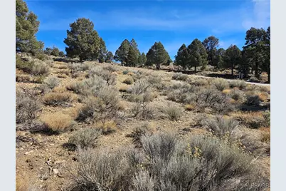 0 Ponderosa Ranch Road, Big Bear City, CA 92314 - Photo 16