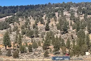 0 Erwin Ranch Rd, Big Bear City, CA 92314 - Photo 1