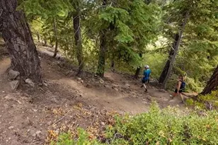 41935 Switzerland Dr, Big Bear Lake, CA 92315 - Photo 38