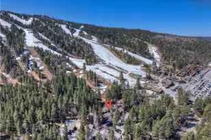 41935 Switzerland, Big Bear Lake, CA 92315 - Photo 4