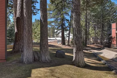 41935 Switzerland #100, Big Bear Lake, CA 92315 - Photo 38