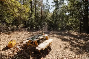 721 Chillon Dr, Lake Arrowhead, CA 92325 - Photo 24