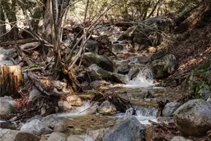 721 Chillon Dr, Lake Arrowhead, CA 92325 - Photo 28