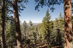 721 Chillon Dr, Lake Arrowhead, CA 92325 - Photo 30