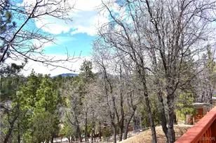442 Inyo Ave, Sugarloaf, CA 92386 - Photo 32
