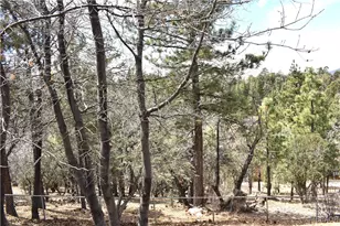 442 Inyo Ave, Sugarloaf, CA 92386 - Photo 34