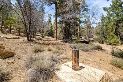 1286 Fawnskin Dr. Road, Fawnskin, CA 92333 - Photo 4