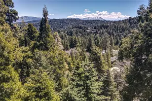 26316 Ca-189 Hwy, Twin Peaks, CA 92391 - Photo 46