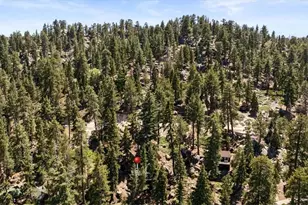 27 Big Bear Blvd, Big Bear Lake, CA 92315 - Photo 30