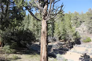 21 Holcomb Valley Rd, Fawnskin, CA 92333 - Photo 4