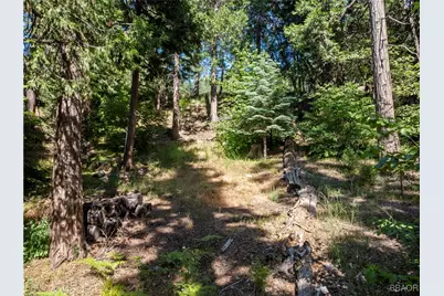 356 Ca-173 Highway, Lake Arrowhead, CA 92352 - Photo 10