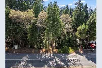356 Ca-173 Highway, Lake Arrowhead, CA 92352 - Photo 12