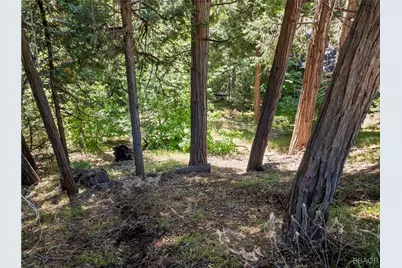 356 Ca-173 Highway, Lake Arrowhead, CA 92352 - Photo 8
