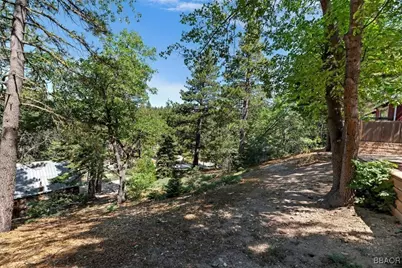 732 Tulip Drive, Green Valley Lake, CA 92341 - Photo 28