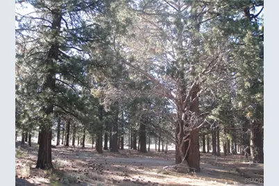 2818 Erwin Ranch Road, Big Bear City, CA 92314 - Photo 1