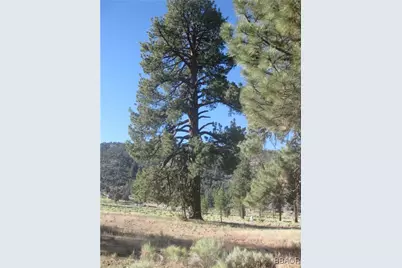 2824 Erwin Ranch Road, Big Bear City, CA 92314 - Photo 2