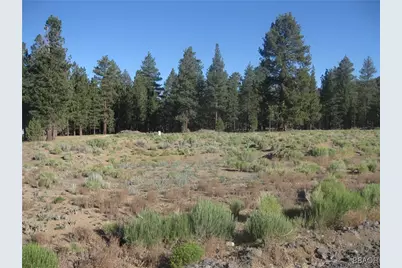 2824 Erwin Ranch Road, Big Bear City, CA 92314 - Photo 4