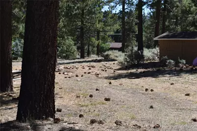 0 Forest Road, Big Bear Lake, CA 92315 - Photo 2