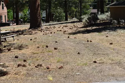 0 Forest Road, Big Bear Lake, CA 92315 - Photo 1