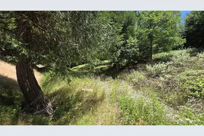 0 Mojave River, Cedarpines Park, CA 92322 - Photo 2