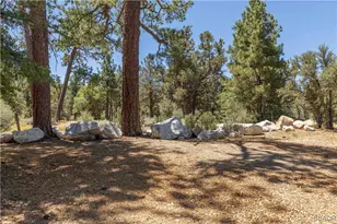 753 Maple Ln, Sugarloaf, CA 92386 - Photo 50