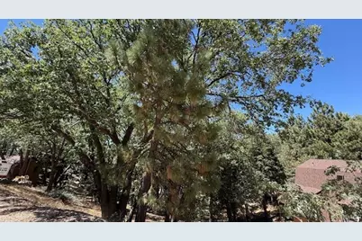 736 Dahlia Drive, Green Valley Lake, CA 92341 - Photo 8