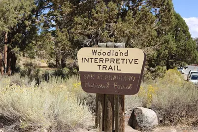 14 Lakeview Tract, Fawnskin, CA 92333 - Photo 34