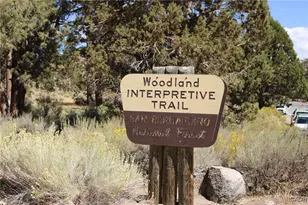 14 Lakeview Tract, Fawnskin, CA 92333 - Photo 34