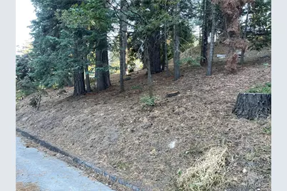 26405 Walnut Hills Drive, Lake Arrowhead, CA 92391 - Photo 1