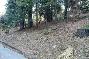 26405 Walnut Hills Dr, Lake Arrowhead, CA 92391 - Photo 1