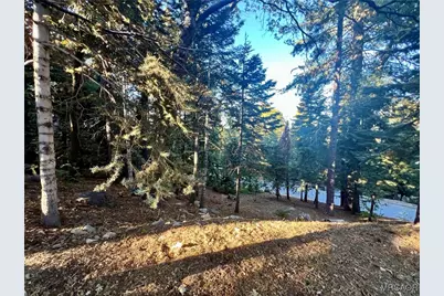 26405 Walnut Hills Drive, Lake Arrowhead, CA 92391 - Photo 6