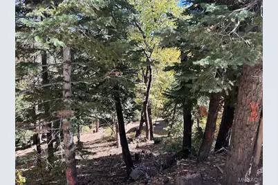 1279 Pigeon Road, Big Bear Lake, CA 92315 - Photo 8