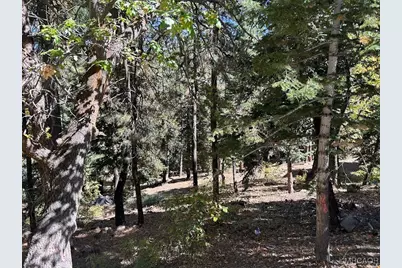 1279 Pigeon Road, Big Bear Lake, CA 92315 - Photo 10