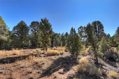 0 Minnow Ln, Big Bear City, CA 92314 - Photo 18