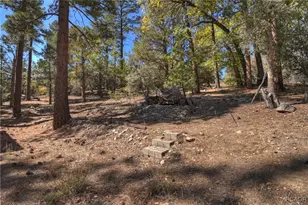 29 Lakeview Trail, Fawnskin, CA 92333 - Photo 44