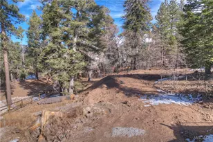 859 Pine Meadow Ct, Big Bear Lake, CA 92315 - Photo 10