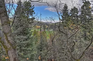 26822 Huron Rd, Lake Arrowhead, CA 92352 - Photo 24