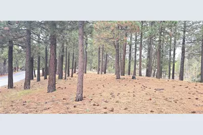 39731 Lakeview Drive, Big Bear Lake, CA 92315 - Photo 14