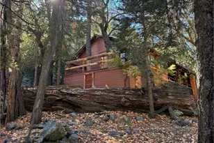 12 Barton Flats Rd, Angeles Oaks, CA 92305 - Photo 14