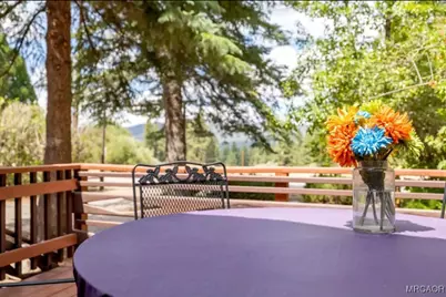 1024 Cameron Drive, Big Bear Lake, CA 92315 - Photo 42