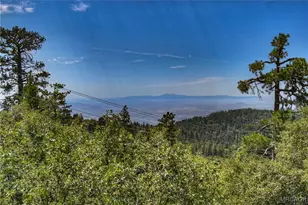 25515 True Ln, Twin Peaks, CA 92391 - Photo 2