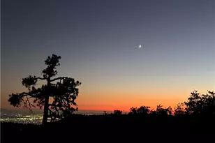 25515 True Ln, Twin Peaks, CA 92391 - Photo 1