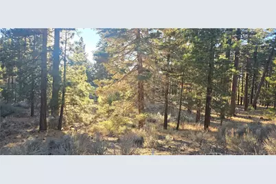 140 Olympic Dr., Big Bear Lake, CA 92315 - Photo 1