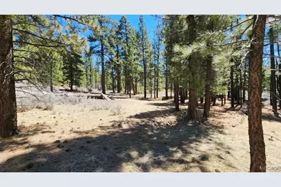 142 Olympic Dr., Big Bear Lake, CA 92315 - Photo 4