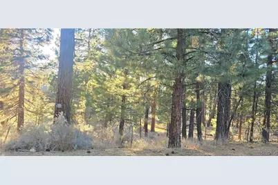 142 Olympic Dr., Big Bear Lake, CA 92315 - Photo 1