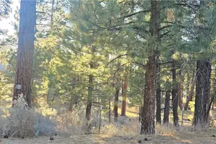 142 Olympic Dr, Big Bear Lake, CA 92315 - Photo 1