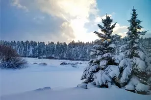 39255 Seminole Dr, Fawnskin, CA 92333 - Photo 44