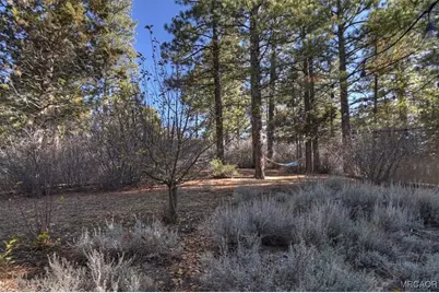 383 Catalina Road, Big Bear Lake, CA 92315 - Photo 34