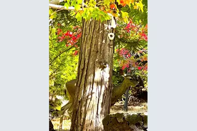 29729 Katharine Way, Cedar Glen, CA 92321 - Photo 40